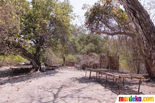 Foto : Keindahan Pantai Lingal, surga tersembunyi di 