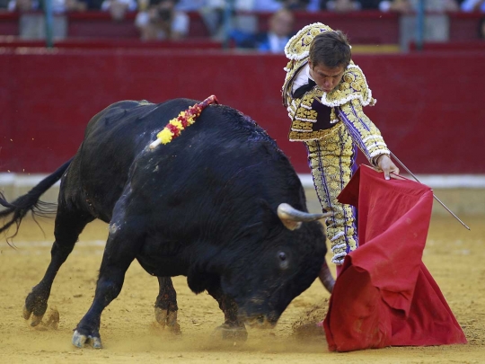 Gaya santai matador El Juli hindari serudukan tanduk tajam banteng