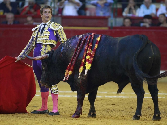 Gaya santai matador El Juli hindari serudukan tanduk tajam banteng