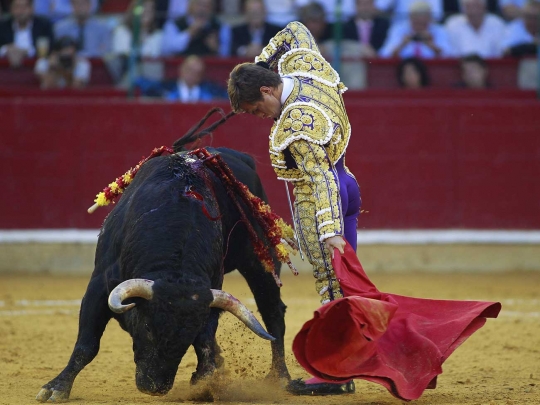 Gaya santai matador El Juli hindari serudukan tanduk tajam banteng