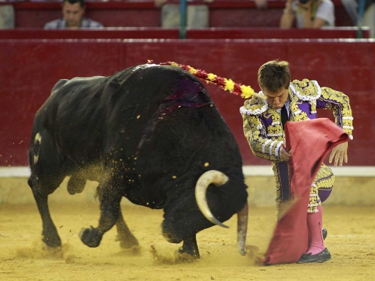 Gaya santai matador El Juli hindari serudukan tanduk tajam banteng