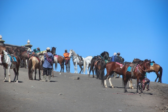 Menjelajahi padang pasir Bromo