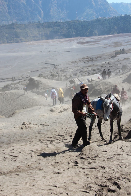 Menjelajahi padang pasir Bromo