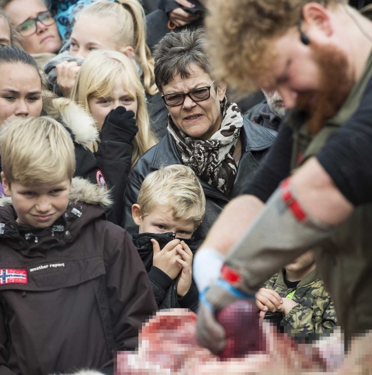 Kebun binatang di Denmark kuliti dan potong-potong tubuh singa