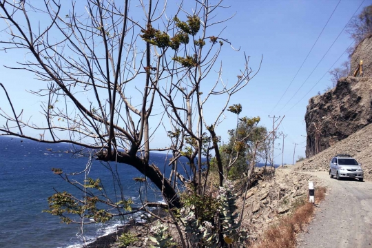 Menyusuri keindahan pesisir Pulau Alor yang masih perawan