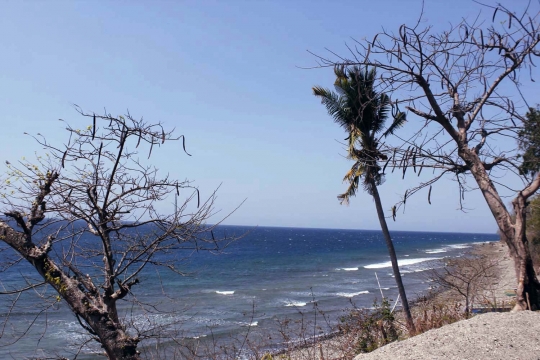 Menyusuri keindahan pesisir Pulau Alor yang masih perawan