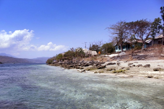 Menyusuri keindahan pesisir Pulau Alor yang masih perawan