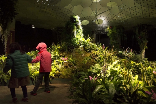 Mengunjungi proyek taman bawah tanah pertama di dunia
