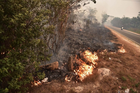 Perjuangan warga padamkan kebakaran hutan dengan alat seadanya
