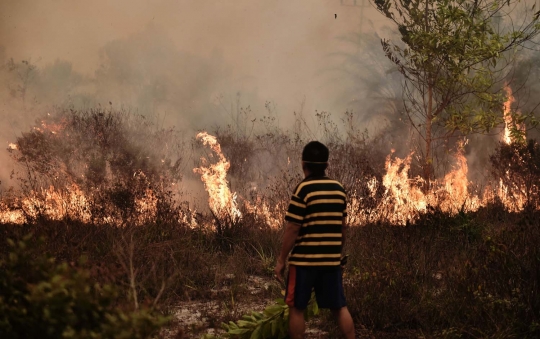 Perjuangan warga padamkan kebakaran hutan dengan alat seadanya