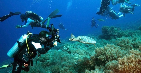 Palau, surga tropis dan salah satu cagar alam laut terbesar di dunia