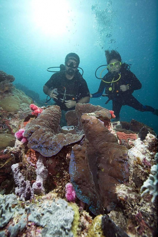 Palau, surga tropis dan salah satu cagar alam laut terbesar di dunia