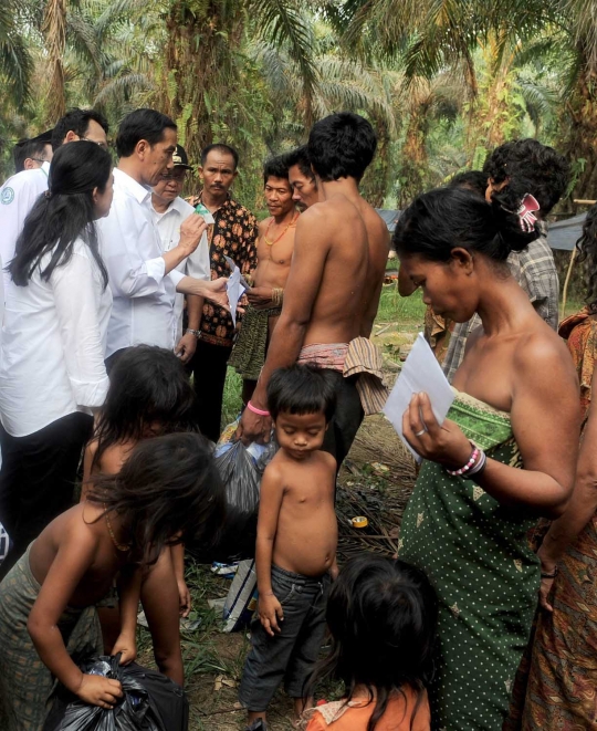 Keakraban Jokowi bertemu Suku Anak Dalam di hutan sawit