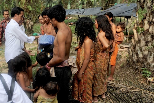 Keakraban Jokowi bertemu Suku Anak Dalam di hutan sawit