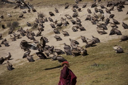 Menengok tradisi pemakaman langit masyarakat Tibet yang mengerikan