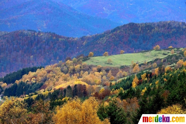  Foto  Menikmati keindahan musim gugur di Eropa  merdeka com