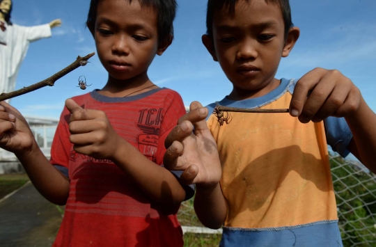 Serunya permainan adu laba-laba ala bocah Filipina