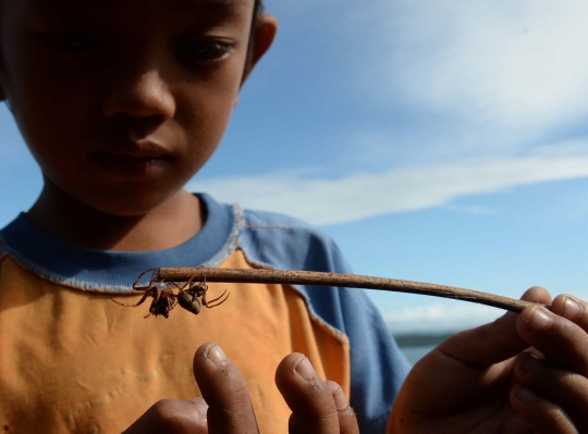 Serunya permainan adu laba-laba ala bocah Filipina
