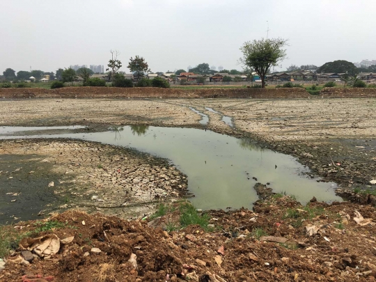 Kondisi Waduk Ria Rio yang kering kerontang akibat kemarau panjang