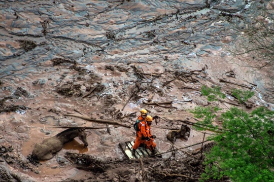 Penyelamatan dramatis anak kuda terjebak lumpur di dasar jurang