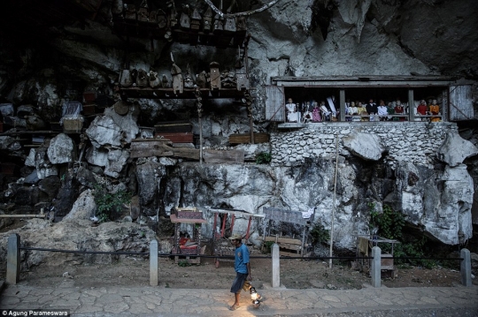 Menengok seramnya ritual tiga tahunan masyarakat Tana Toraja