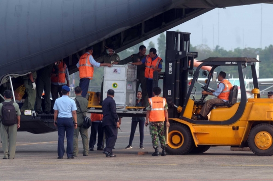 14 Orang utan korban penyelundupan Thailand tiba di Jakarta