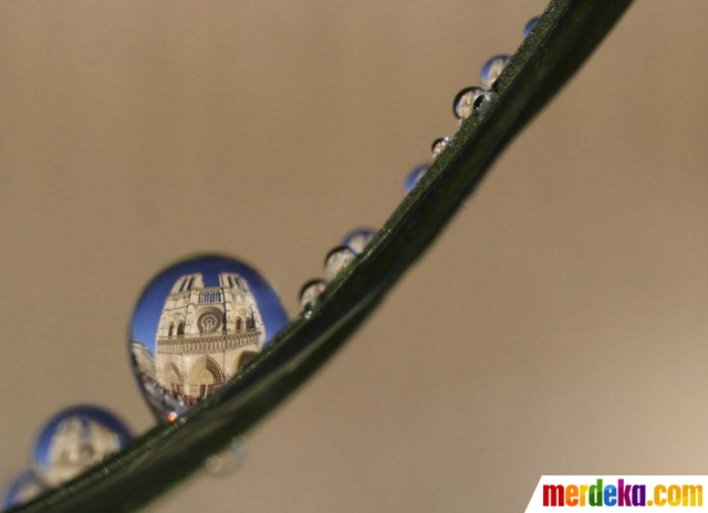 Foto : Keindahan seni fotografi makro dalam tetesan air 