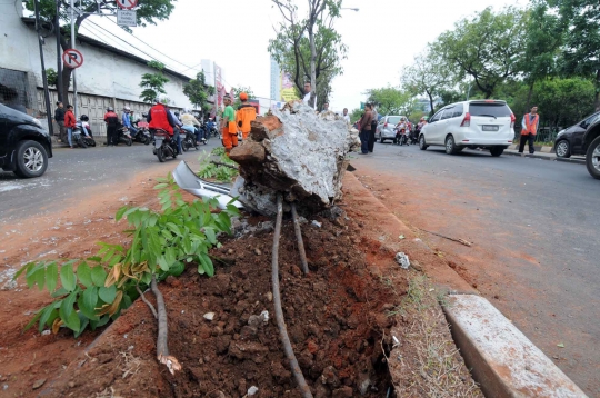 Avanza ringsek usai tabrak tiang PJU di Jalan Pramuka