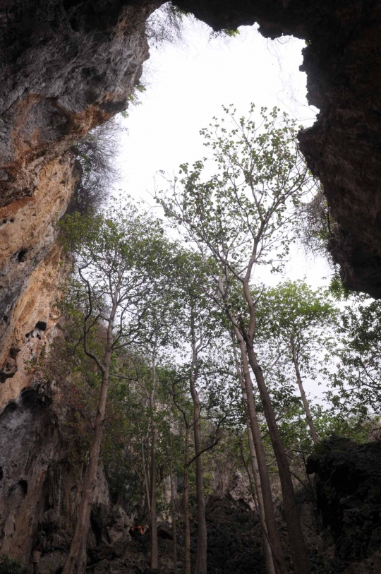 Jejak manusia purba di Gua Pawon