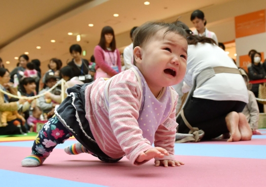 Jepang gelar kompetisi bayi merangkak demi pecahkan rekor dunia