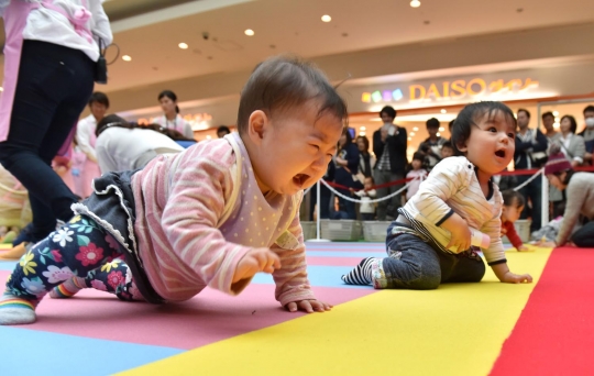 Jepang gelar kompetisi bayi merangkak demi pecahkan rekor dunia