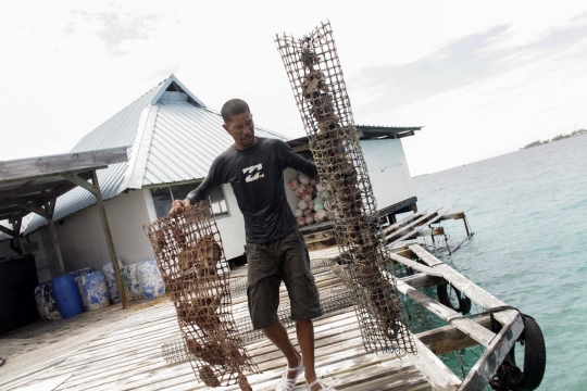 Melihat lebih dekat budi daya mutiara di laut Polinesia