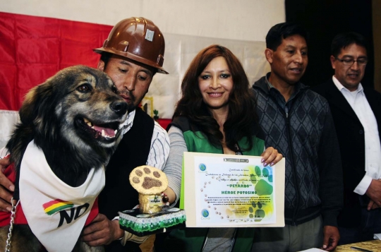 Anjing ini jadi simbol penolakan rakyat Bolivia atas Evo Morales