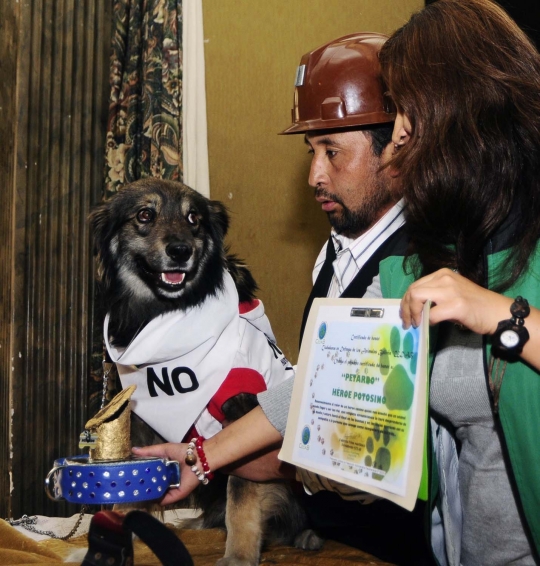 Anjing ini jadi simbol penolakan rakyat Bolivia atas Evo Morales