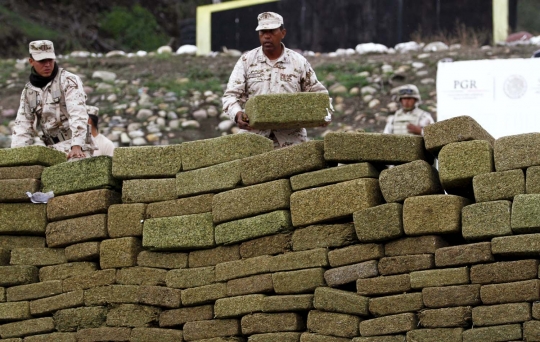 Panasnya pemusnahan 18 ton ganja di Meksiko