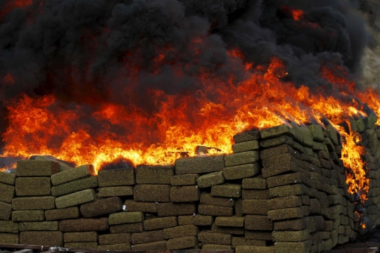 Panasnya pemusnahan 18 ton ganja di Meksiko