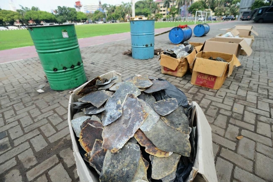 Pemusnahan barang bukti organ satwa dilindungi di Mabes Polri