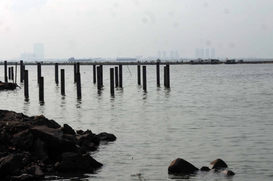 Reklamasi pantai Jakarta Utara ancam habitat ikan