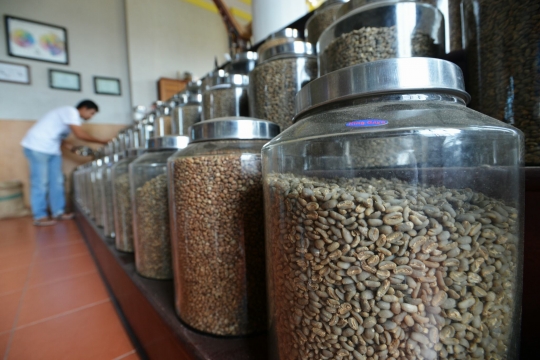 Melihat produksi kopi terbaik dunia dari dataran tinggi Gayo