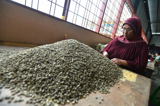 Melihat produksi kopi terbaik dunia dari dataran tinggi Gayo