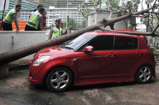 Angin kencang, pohon di HI tumbang dan timpa dua mobil