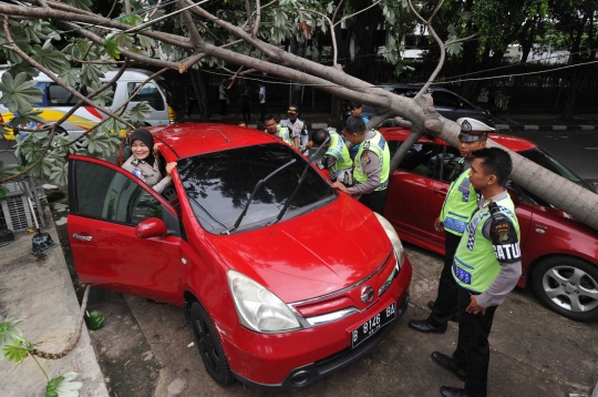 Angin kencang, pohon di HI tumbang dan timpa dua mobil