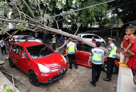 Angin kencang, pohon di HI tumbang dan timpa dua mobil