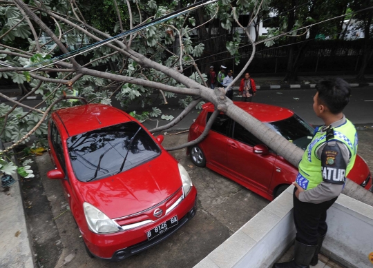 Angin kencang, pohon di HI tumbang dan timpa dua mobil