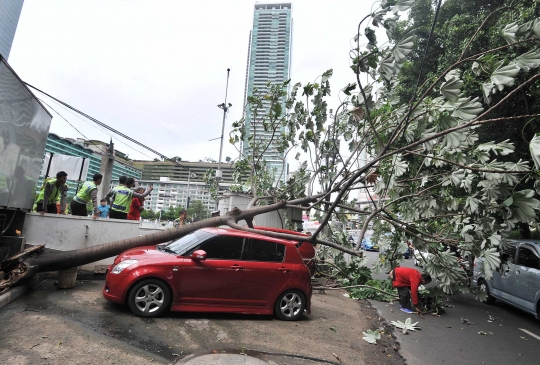 Angin kencang, pohon di HI tumbang dan timpa dua mobil