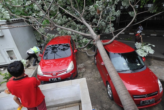 Angin kencang, pohon di HI tumbang dan timpa dua mobil