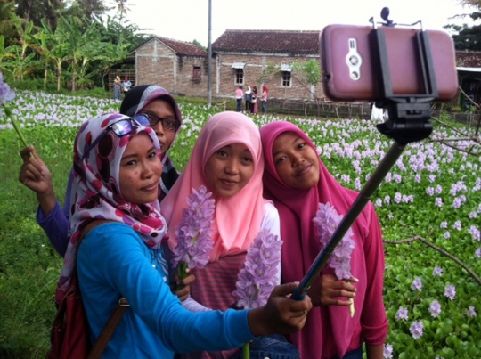 Ini hamparan eceng gondok di Yogya jadi sasaran penggila selfie