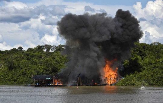 Jejak pertambangan liar yang ancam keanekaragaman hayati Amazon