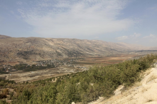 Kisah pengungsi Suriah bertani ganja di Lebanon demi bertahan hidup