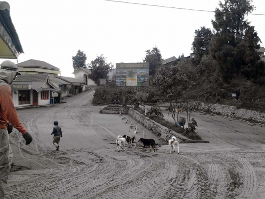 Menengok kawasan wisata Gunung Bromo terus dihujani abu vulkanik